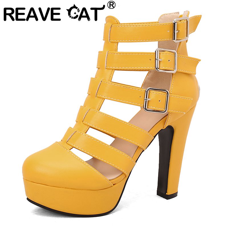 REAVE CAT Luxury Female Sandal - đánh giá và giá Women'S Fashion Belts